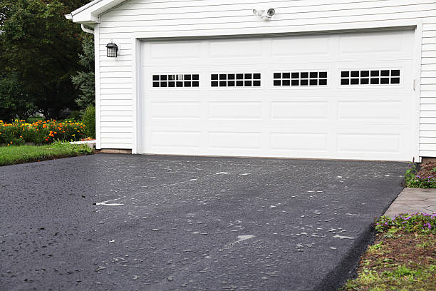 Best Construction Debris Removal  in Palestine, IL