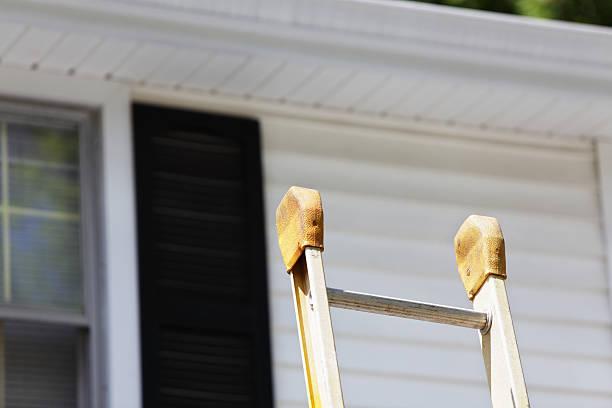 Best Furniture Removal  in Palestine, IL